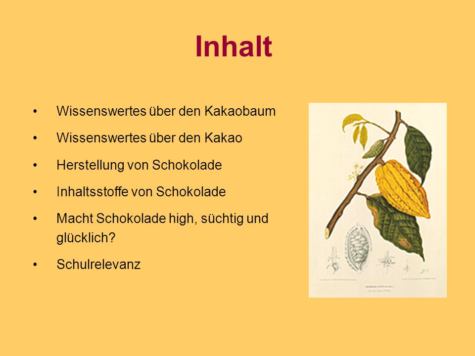 Kakaobohnen zur Gewichtsreduktion Kakaobohnen zur Gewichtsreduktion